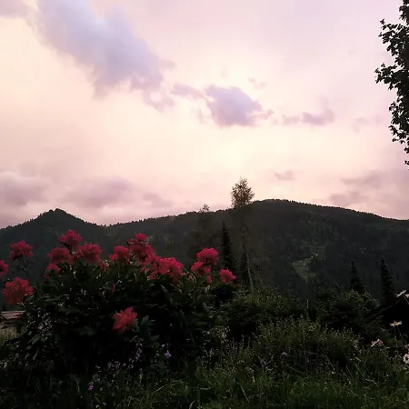 Frühstückspension Le Castor *