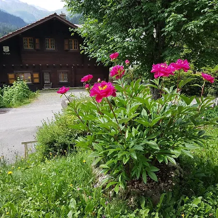 Le Castor Frühstückspension *