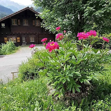 Le Castor Morgins