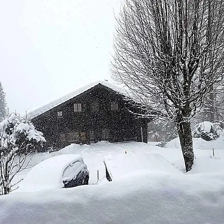 Le Castor * Morgins