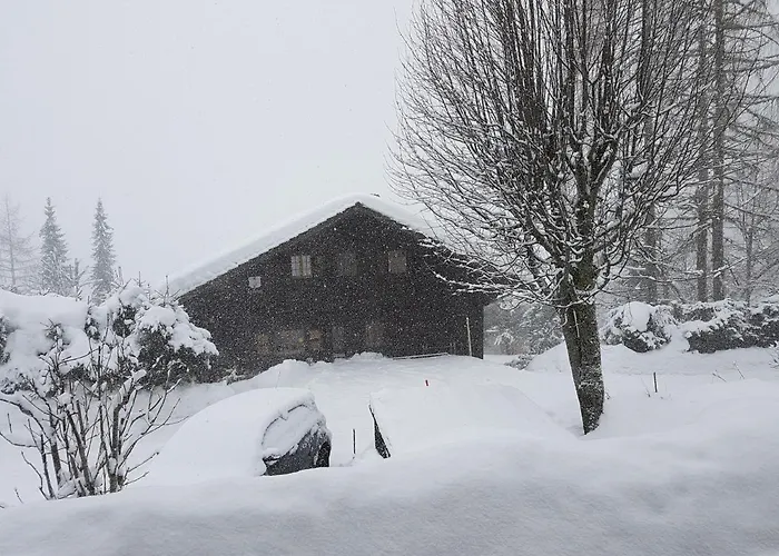 Le Castor Frühstückspension Morgins